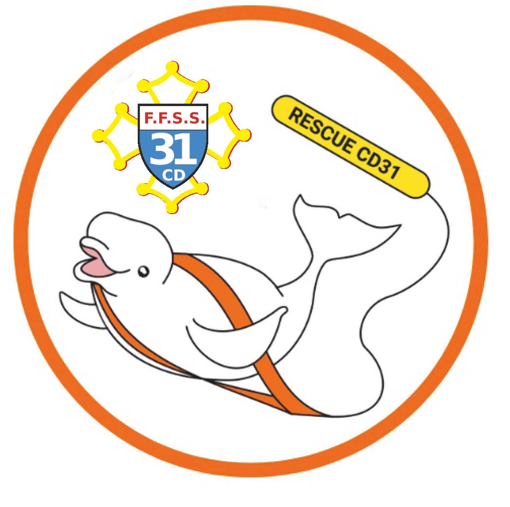 CD31 logo du de la sélection des jeunes sauveteur FFSS de la Haute-Garonne